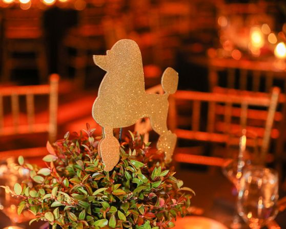 2020 Purina® Pro Plan® Show Dogs of the Year Awards